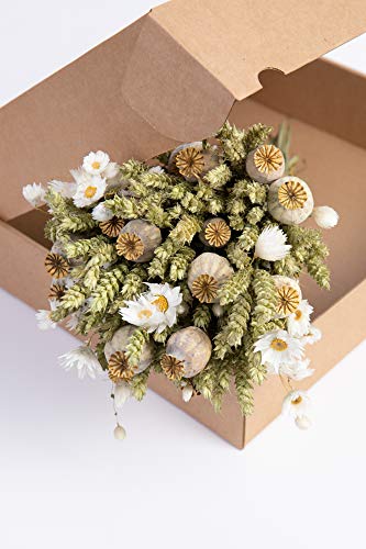 Sense of Home DIY Trockenblumen Natural Hue - Blumenstrauß aus getrockneten Blumen & Gräsern | Liefergröße ca. 40 cm