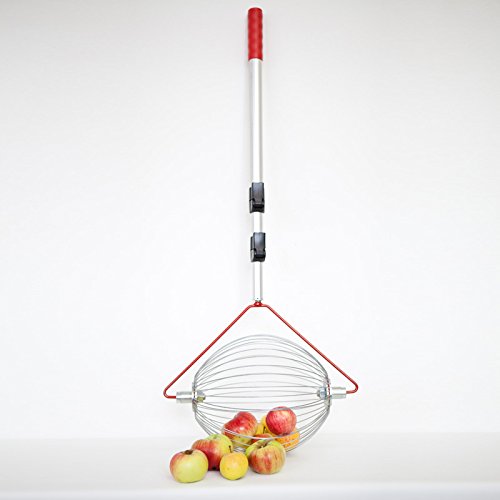 Feucht Obsttechnik Apfel-Sammler mit Teleskopstab- der Roll-Blitz die kleinste Obstaufsammelmaschine der Welt direkt vom Hersteller für Apfel, Birnen