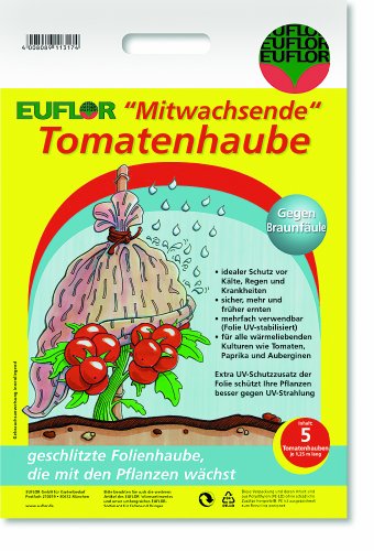 NOOR Tomatenhaube gelocht 0,65 x 10m I Transparenter Tomatenpflanzenschutz I 20 STK für 10 Tomaten I Begünstigt EIN ideales Mikroklima und hervorragendes Pflanzenwachstum 