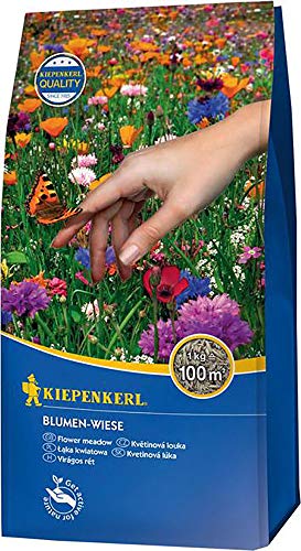 Rasensamen - Blumen-Wiese 1 kg von Kiepenkerl