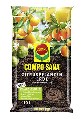 Compo SANA Zitruspflanzenerde mit 12 Wochen Dünger für alle Zitruspflanzen und mediterranen Pflanzen, Kultursubstrat, 10 Liter, Braun, 46x28x55 cm