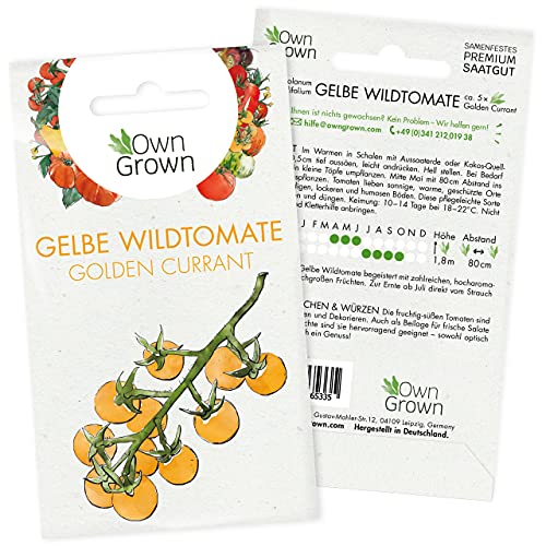 Tomaten Samen Golden Currant: Gelbe Wildtomaten Samen zum einfachen Anbau von Tomatenpflanzen für Balkon, Garten – 5 Golden Currant Tomatensamen für köstliche Kirschtomaten – Gemüse Samen von OwnGrown
