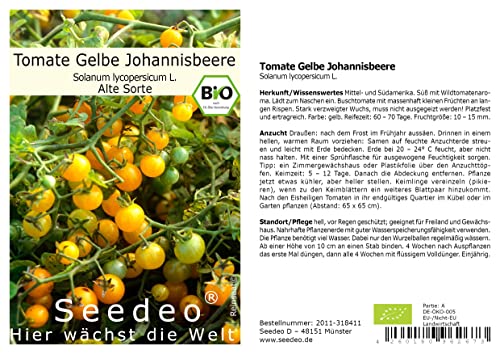 Seedeo Tomate Gelbe Johannisbeere (Lycopersicum esculentum Mill.) 25 Samen BIO
