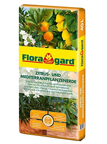Floragard Zitrus-und Mediterranpflanzenerde 40 Liter - Zitruspflanzenerde - Kübelpflanzenerde mit Premium-Dünger und extra Eisen-Dünger für mediterrane Kulturen