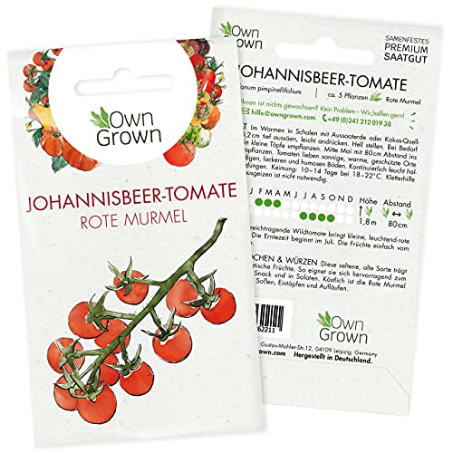 Tomatensamen Red Currant: Premium Mini Tomaten Samen zum Anbau von Tomatenpflanzen, Seltene Tomatensamen der Wildtomate Red Currant für Balkon, Kübel und Garten – 5 Gemüse Samen von OwnGrown