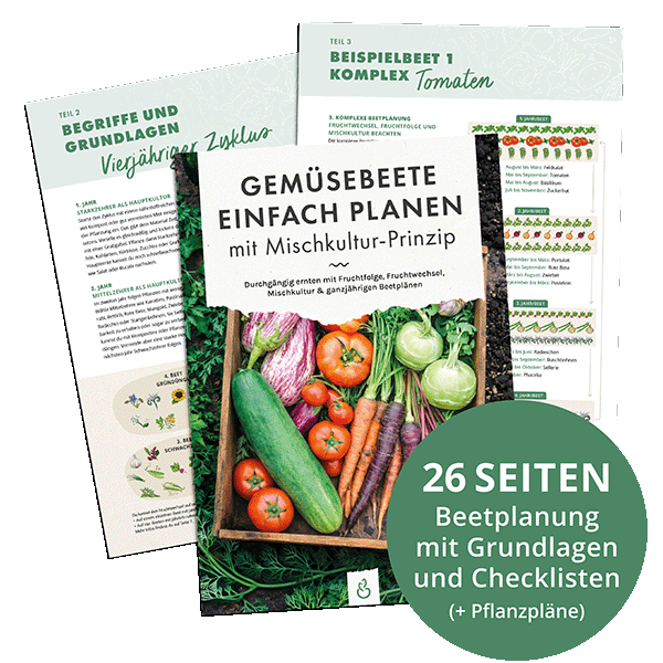 Beetplaner: Gemüsebeete planen mit Mischkultur