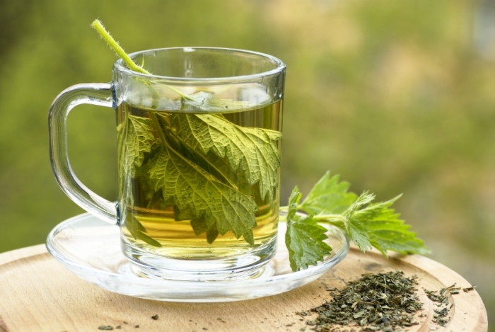 Brennnesselblätter: Anwendung & Wirkung » Gesund & vielseitig