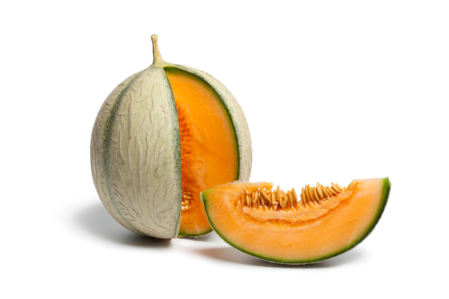 Charentais Melone Anbau