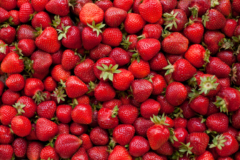 Erdbeeren lagern