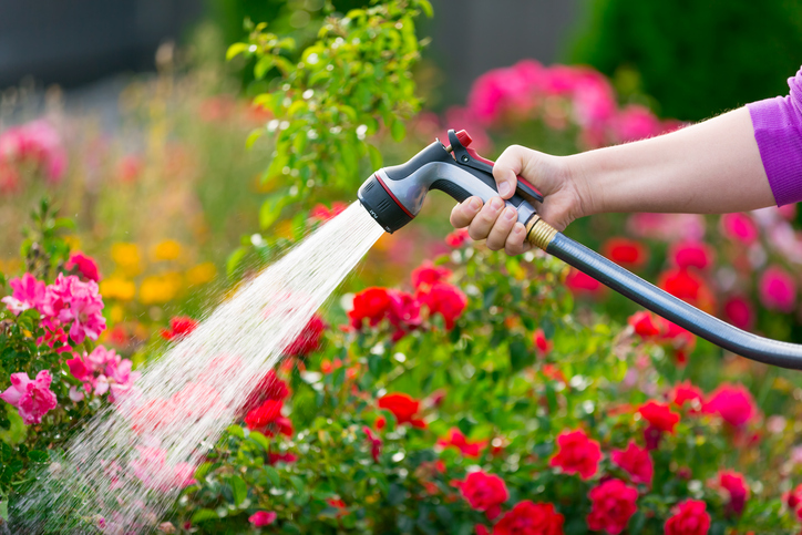 Gartenbrausen im Test » So finden Sie die Richtige