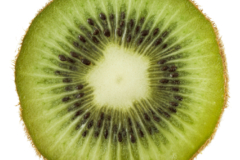 Kiwi Zitrusfrucht