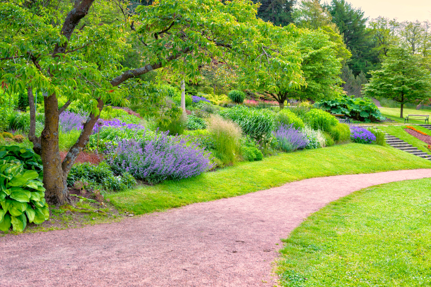 Lavendel im Garten » Sorten, Standortwahl und Pflegehinweise