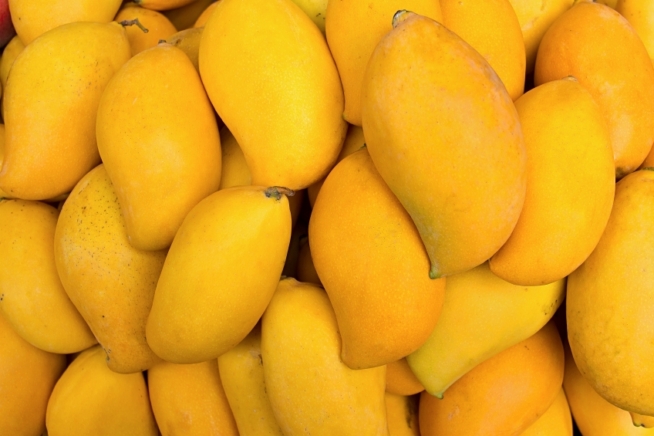 Mango züchten
