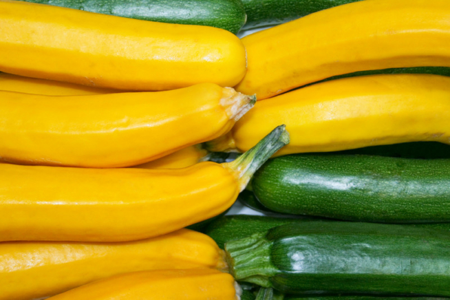Zucchini Sorten und Arten