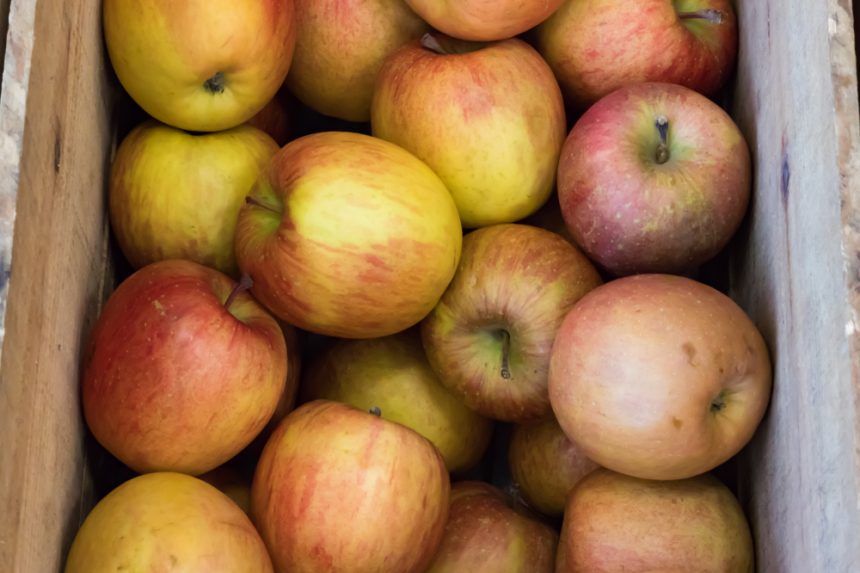 Äpfel einmachen » Ein leckeres Rezept zum Nachkochen