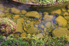 algen-auf-steinen-im-teich-entfernen