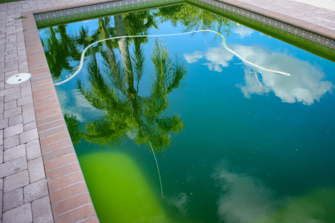 algen-im-pool-trotz-sandfilteranlage
