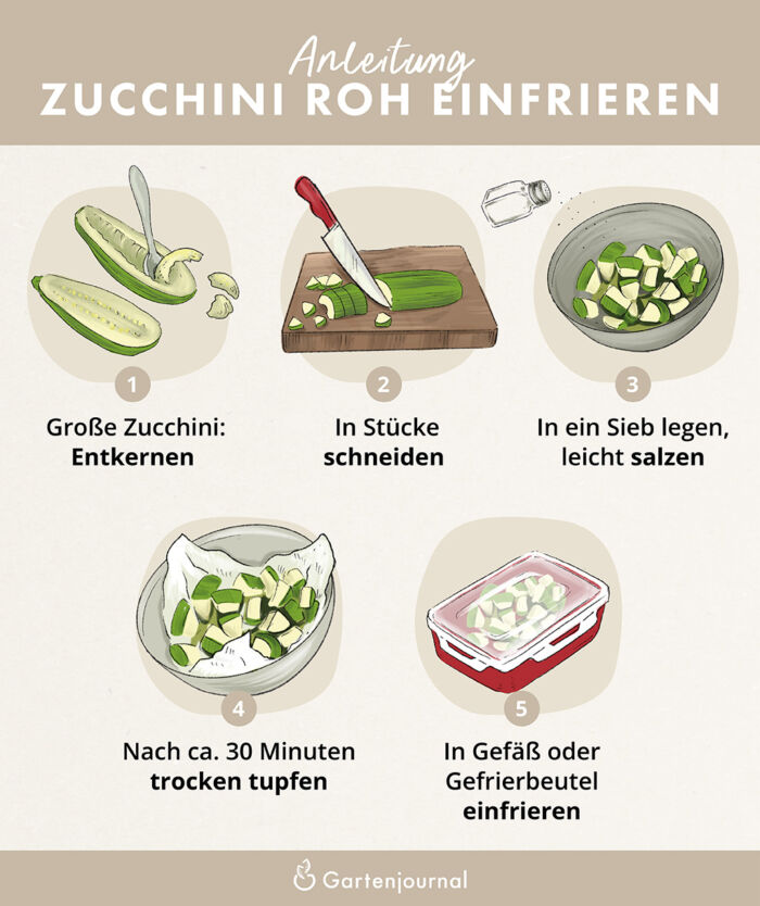 Illustrierte Anleitung, wie Zucchini roh eingefroren wird