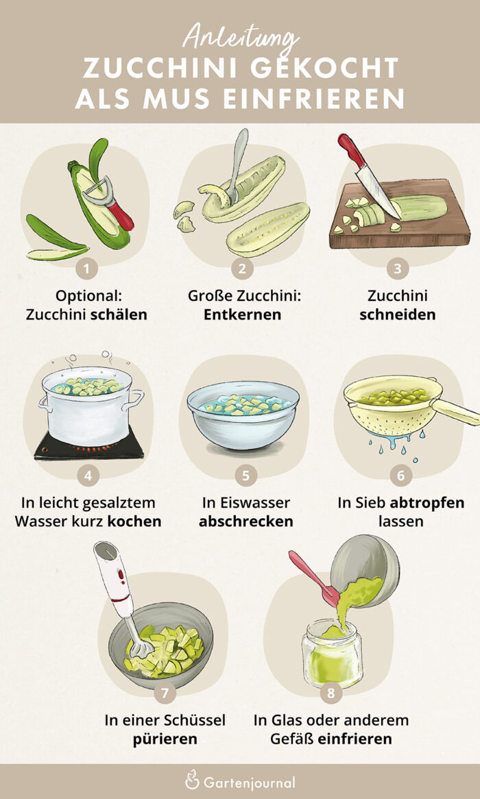 Illustrierte Anleitung, wie Zucchini püriert eingefroren wird