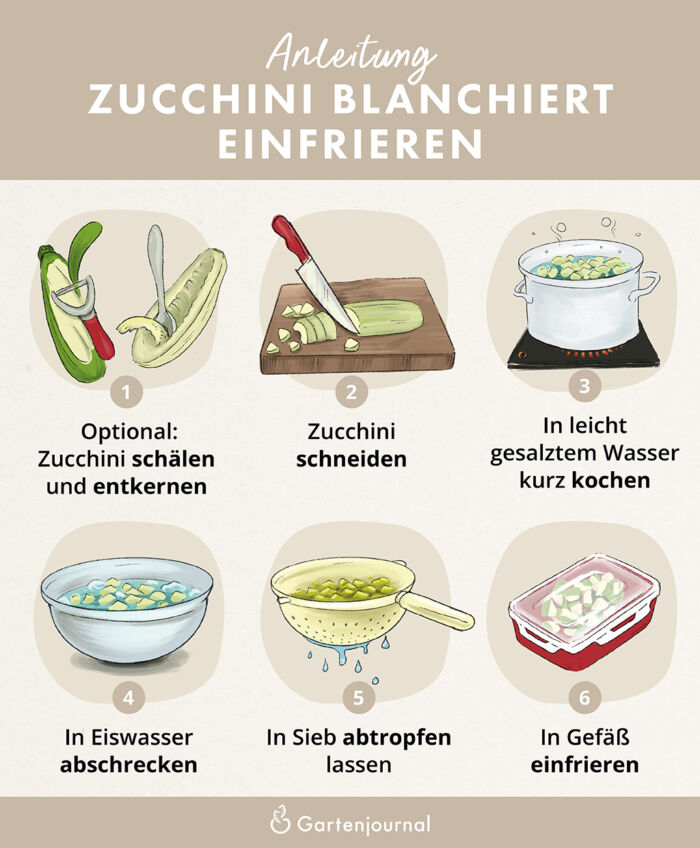 Illustrierte Anleitung, wie Zucchini blanchiert eingefroren wird