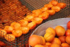 aprikosen-trocknen