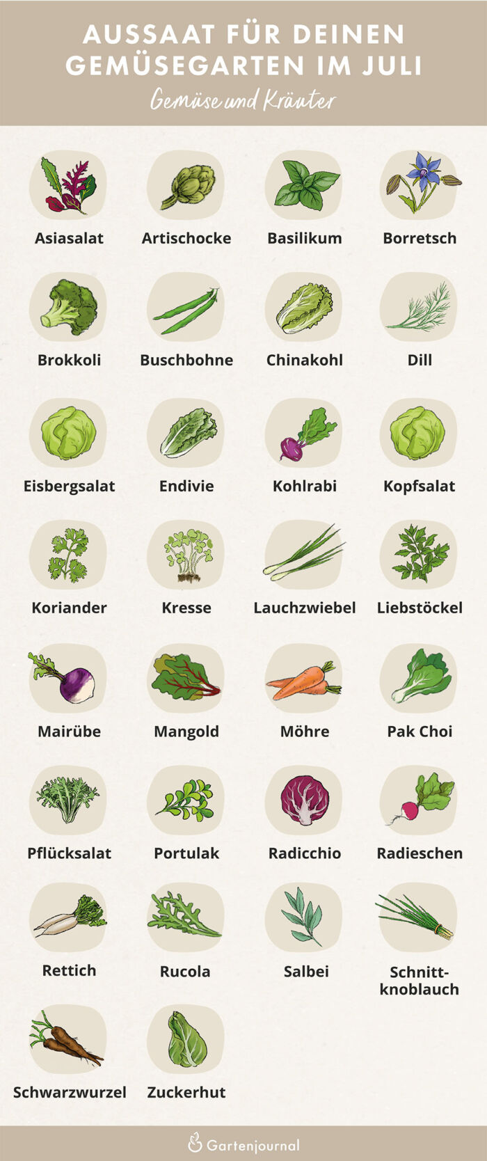 Illustrierter Gartenkalender der zeigt, welche Gemüse und Kräuter im Juli ausgesät werden