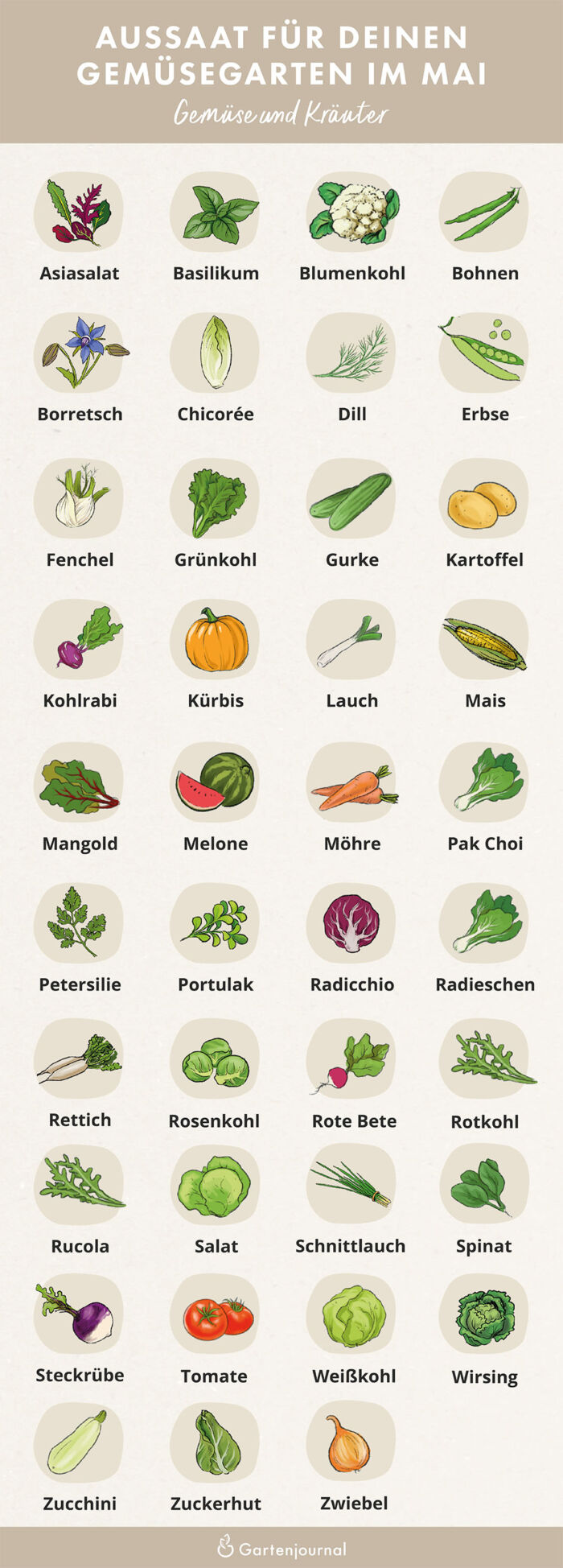 Illustrierter Gartenkalender der zeigt, welche Gemüse und Kräuter im Mai ausgesät werden