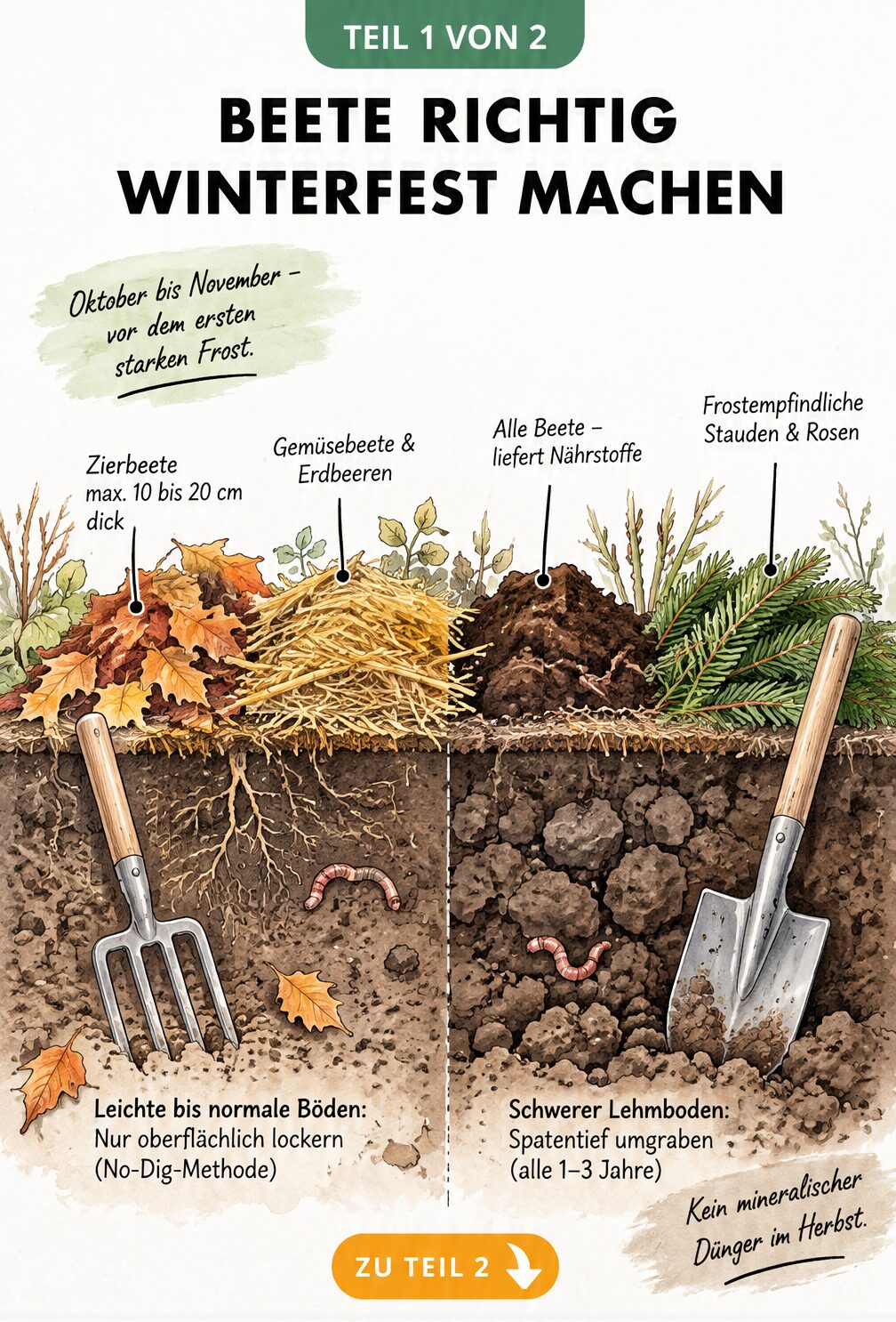 Infografik mit den wichtigsten Schritten, um Beete winterfest zu machen