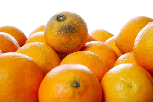 clementinen-braune-flecken