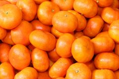clementinen-lagern