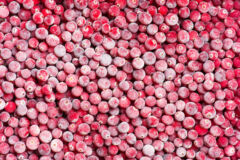 cranberries-einfrieren