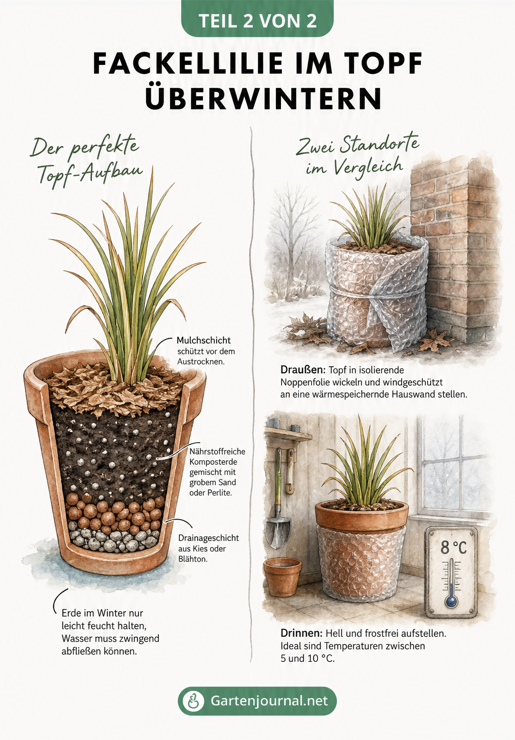 Querschnitt eines Terrakotta-Topfes mit einer Fackellilie, der Drainageschicht, Erde und Mulch zeigt, sowie zwei Überwinterungsstandorte.