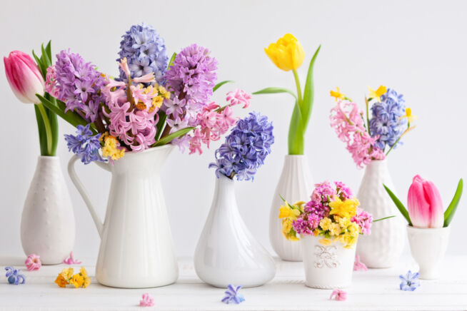 hyazinthen-und-tulpen-in-einer-vase