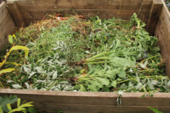kompostierung-von-gartenabfaellen-newsletter