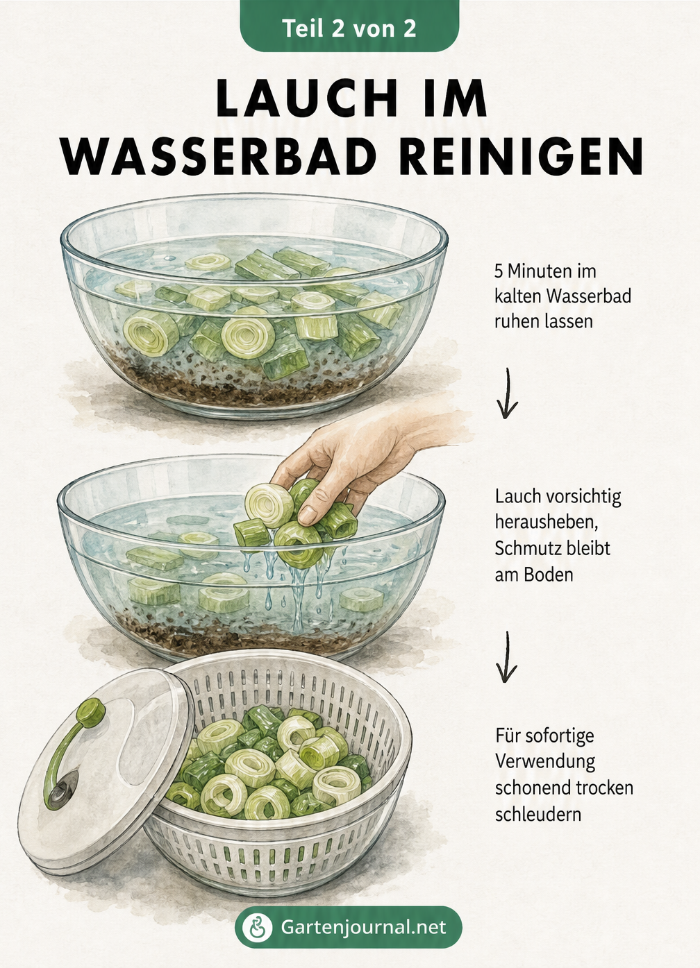 Illustration: Geschnittene Lauchstücke in einer Schüssel mit Wasser reinigen und anschließend trocken schleudern.