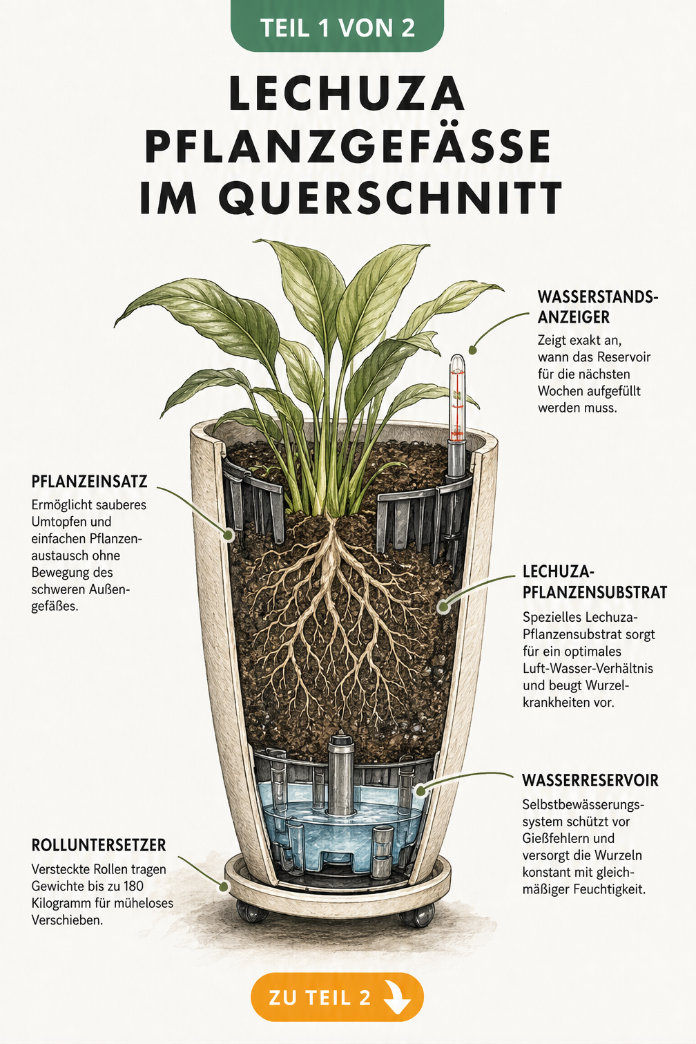 Querschnitt eines bepflanzten Lechuza-Gefäßes mit Wasserstandsanzeiger, Pflanzeinsatz und Wasserreservoir