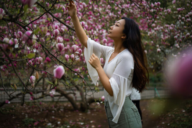 magnolie-bedeutung