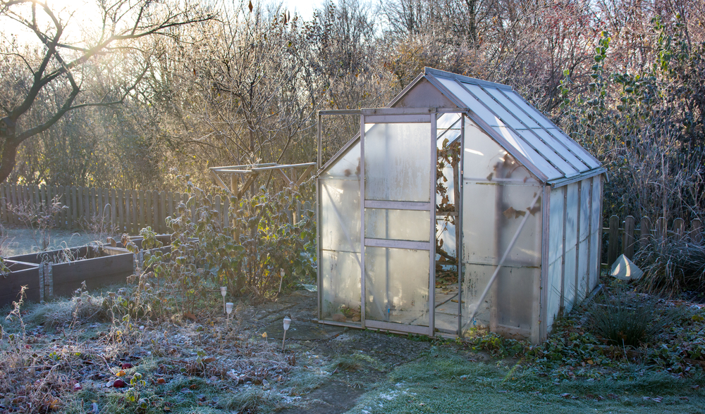 Ein Aluminium-Gewächshaus mit lichtdurchlässigen Platten steht in einem Garten mit kahlen Büschen und Raureif.