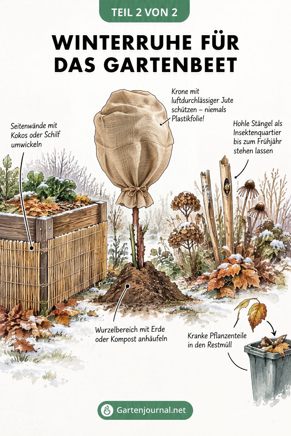 Infografik zur Unterscheidung von gesunden und kranken Pflanzenresten im Garten
