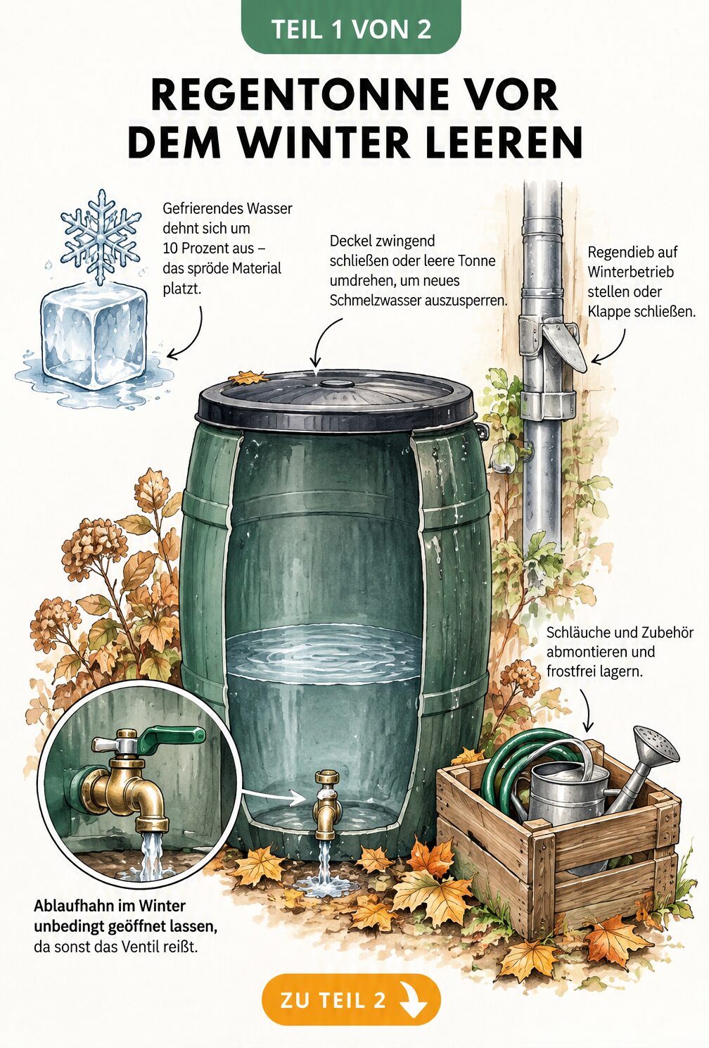 Grafik zeigt, wie sich gefrierendes Wasser in einer Regentonne ausdehnt und Druck auf die Wände ausübt.