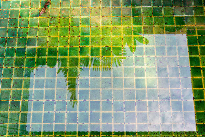 rote-algen-im-pool