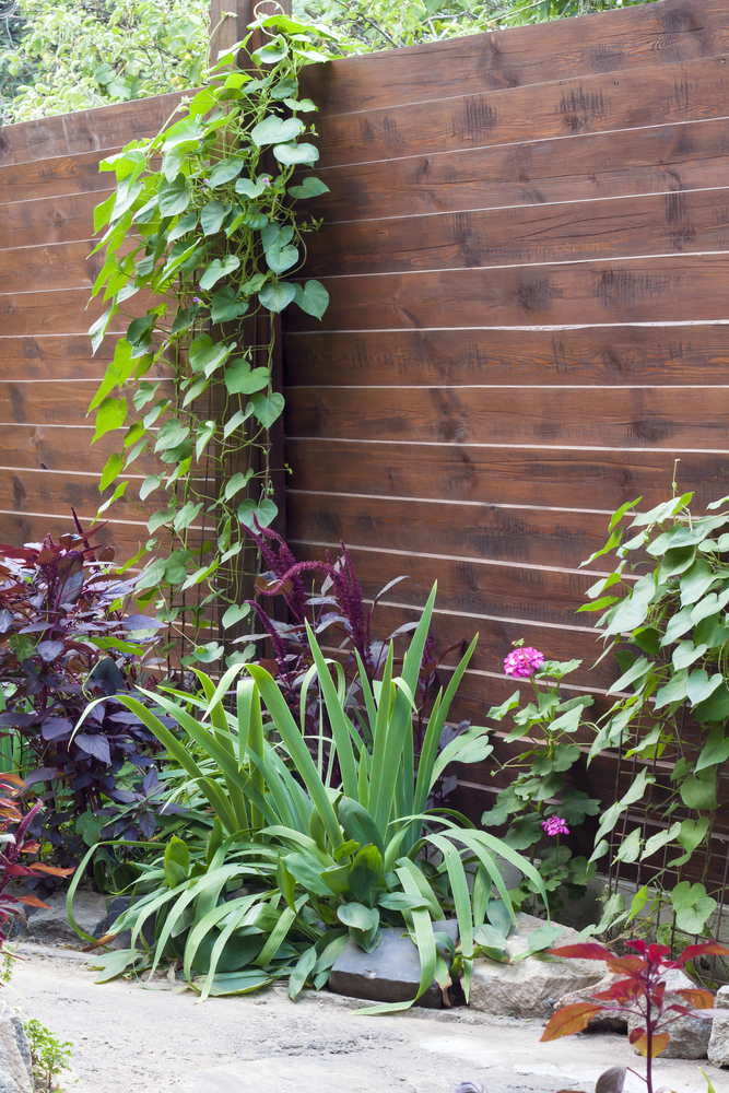 Sichtschutz für den kleinen Garten » Die schönsten Ideen