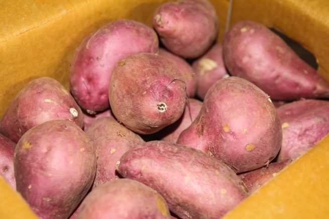 suesskartoffeln-lagern