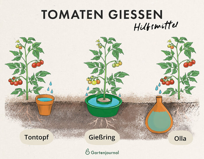 Hilfsmittel zum Tomaten gießen als Illustration