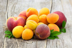 unterschied-pfirsich-aprikose
